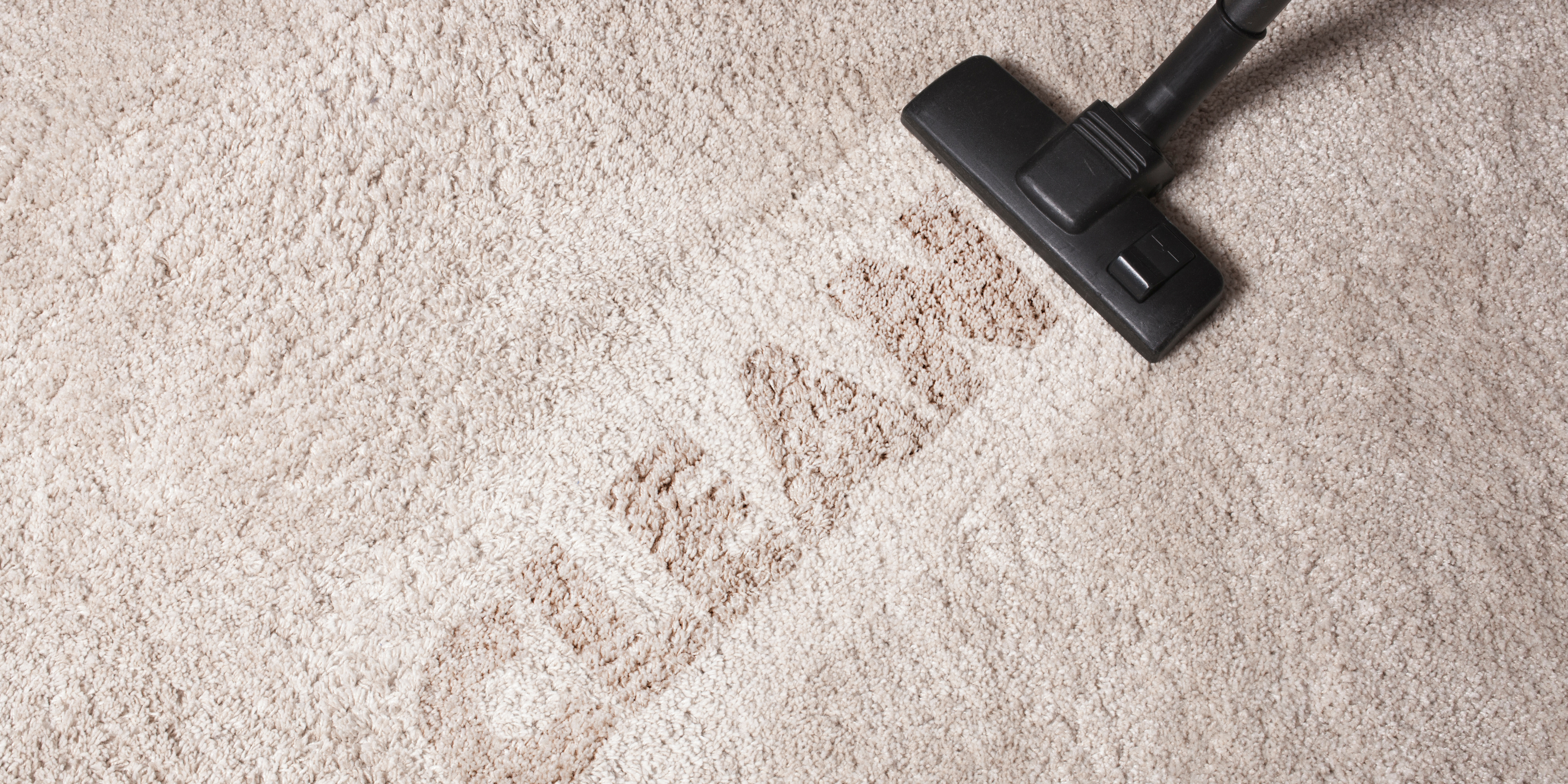 Neat and Tidy Carpet Cleaning