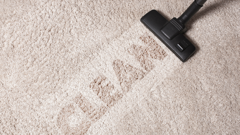 Neat and Tidy Carpet Cleaning